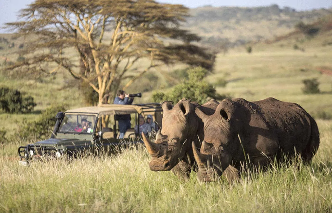 Rhinos during Kenya safaris from india.