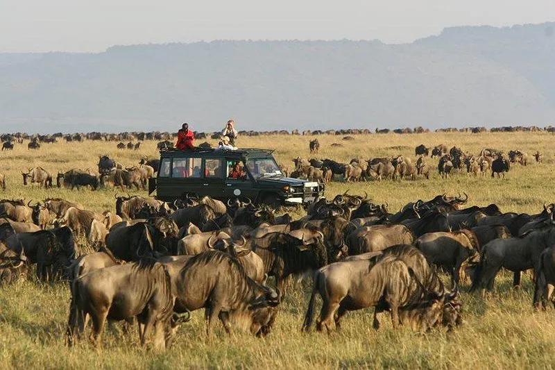 Luxury Tours in Kenya - Masai Mara wildebeest migration