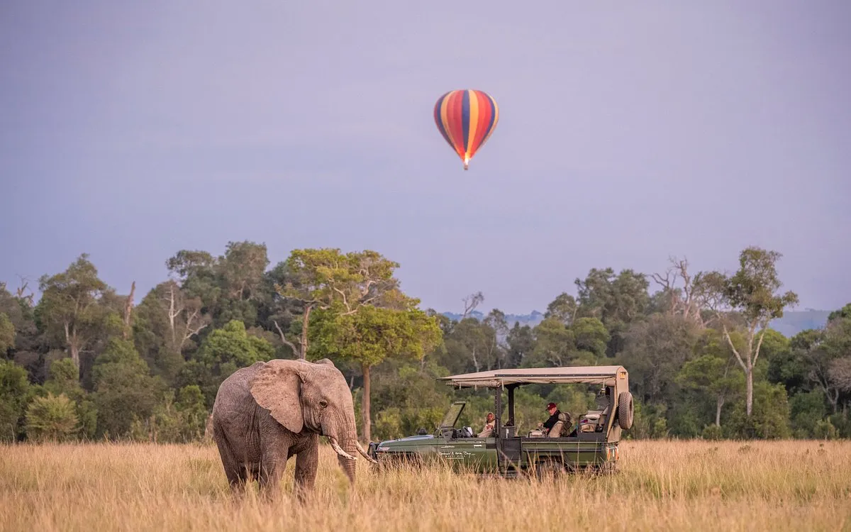 Kenya Tours from India - Guest during a luxury trip in Masai Mara National Park