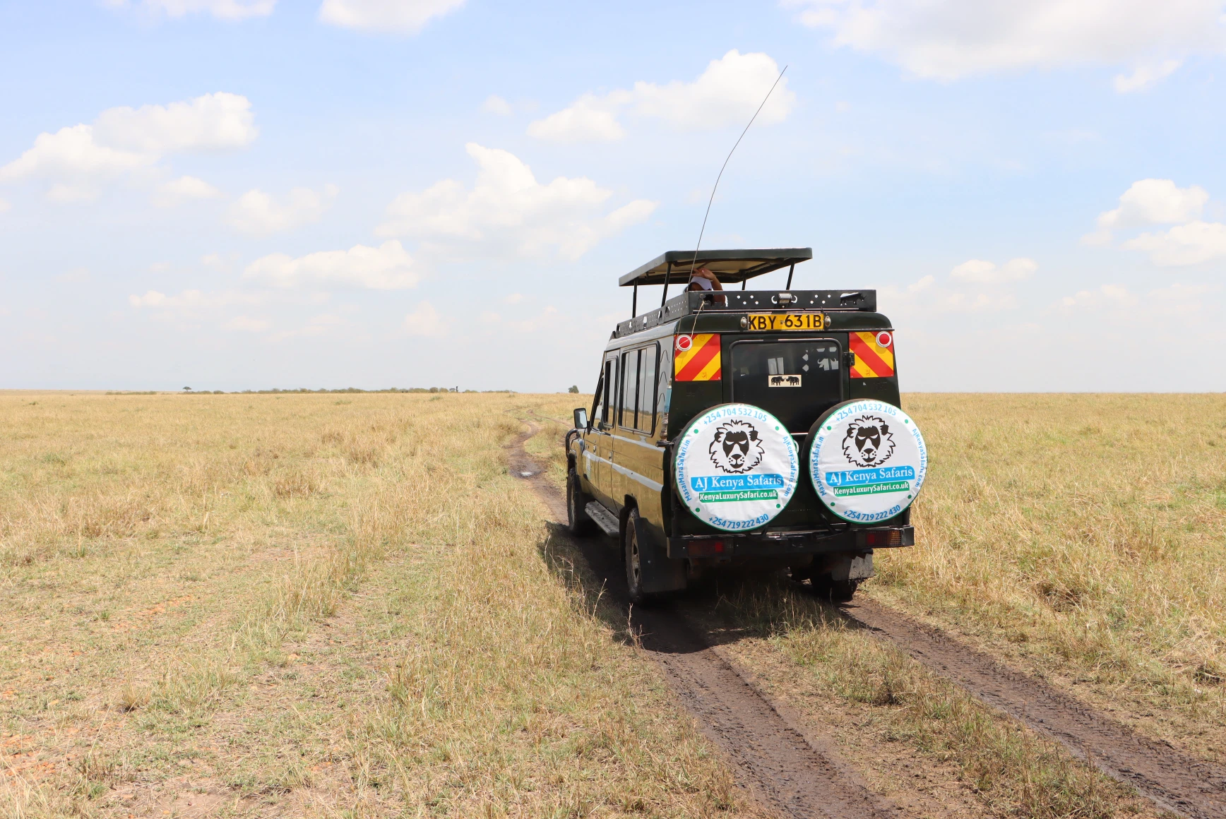 Kenya Safari in Masai Mara.